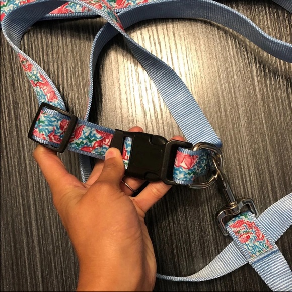 Floral Printed Dog Collar & Leash Set - Picture 4 of 5